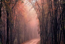 爱体育:罗马诺:法兰克福与曼城谈判顺利,马尔穆什或下周完成转会.