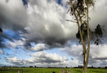 法尔克:若热刺决定买断特尔,支付5000万欧元即可完成交易.