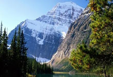 麦克朗NBA扣篮大赛三连冠,拿到奖金31万美元超NBA生涯收入九派新闻.