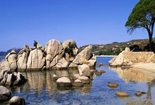 麦克朗NBA扣篮大赛三连冠,拿到奖金31万美元超NBA生涯收入九派新闻.